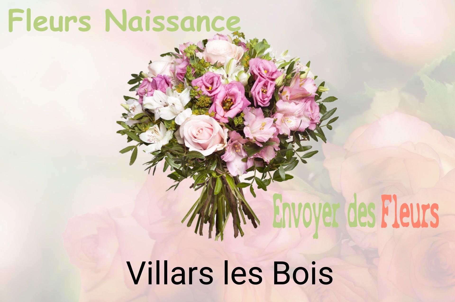 Bouquet de fleurs de naissance livré à Villars-les-Bois