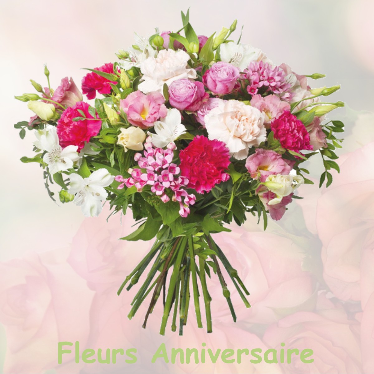 fleurs anniversaire VILLARS-LES-BOIS