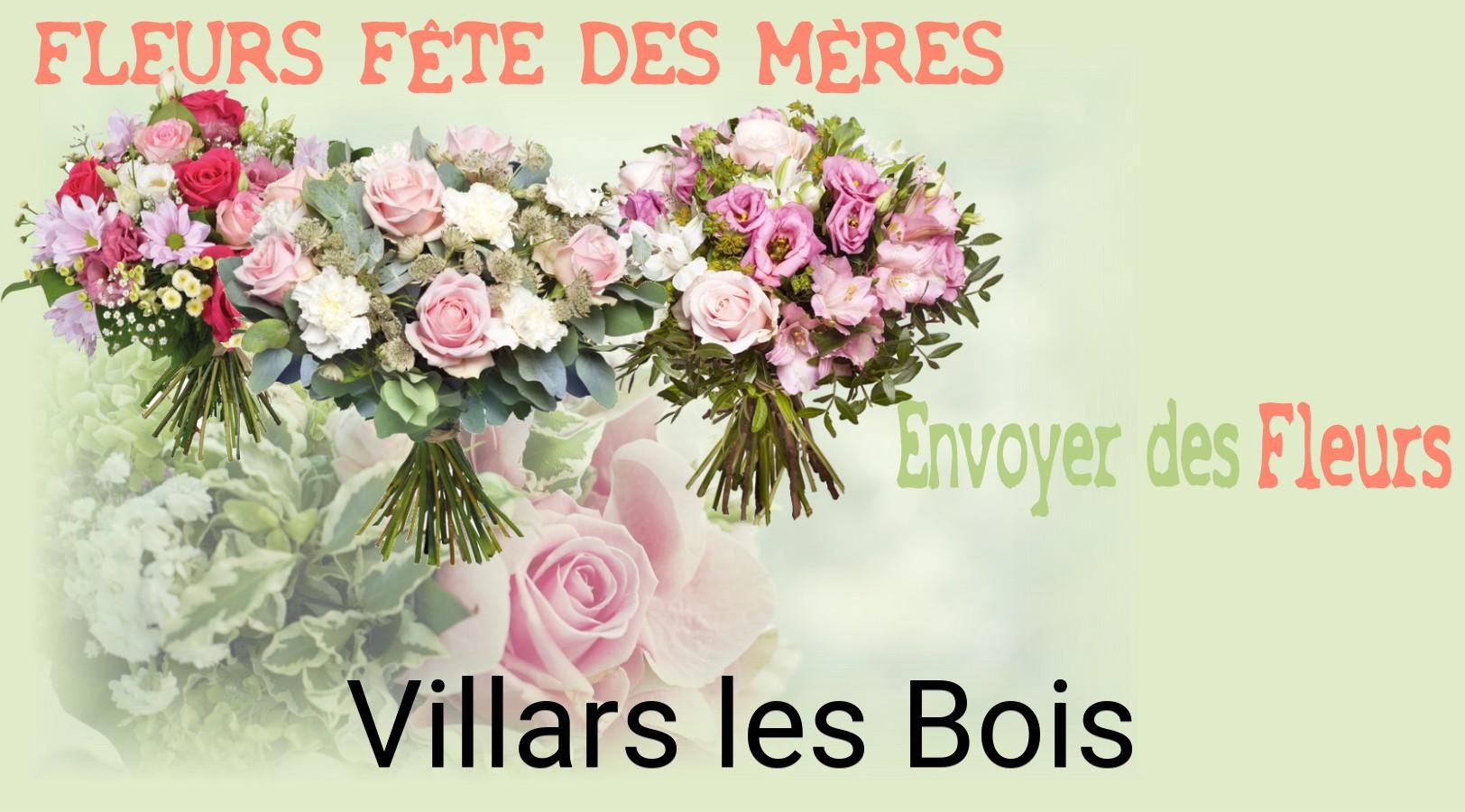 Bouquet de Fête des Mères livré à Villars-les-Bois